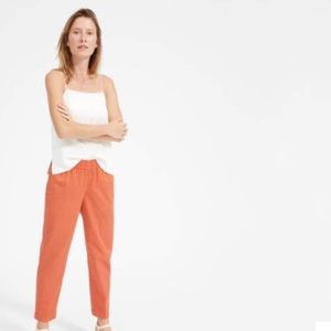 *Moving* Everlane Chinos